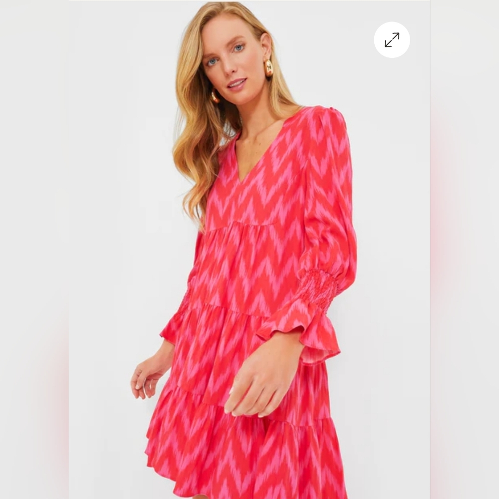 Pomander Place Hot Pink Ikat Kenzo Dress - Picture 2 of 12